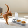 Cat Bowls with Stand Tilted 15° Detachable 3 in 1 Cat Food Bowls Cat Water and Food Bowls Anti-Spill and Adjustable Cat Feeding Bowl Pet Bowl for Cats and Dogs