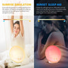 Sunrise Alarm Clocks, Wake Up Light with Sunrise/Sunset Simulation Dual Alarms Bedside Night Lamp Snooze Function FM Radio 7 Natural Sound 11 Colorful Atmosphere Lamp(White)