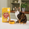 Lily’s Kitchen Smooth Chicken Paté Complete Adult Cat Food 19 x 85g