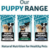 Pet Nutrition Hypoallergenic Complete Dry Dog Food Puppy Mini Chicken and Rice 2 kg