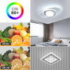 LED Ceiling Light, 39W 3510LM Modern Ceiling Light Dual-Round Small Ceiling Light Fixture, 6500K White Aluminum Close to Ceiling Light Fixture for Bedroom, Kitchen, Living Room