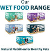 Pet Nutrition Natural Wet Dog Food For Adult & Senior Dogs – Wholesome Turkey with Carrots and Brown Rice 12 x 150g