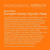 Pumpkin Honey Glycolic Mask 50 ml