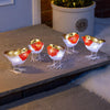 Light Up Robin Acrylic Christmas Decorations, White LED, Battery Operated with Timer, Indoor Outdoor, Set of 5 (13.8cm x 11cm x 7cm)