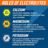 Endurance - Hydration Electrolyte Tablets Display Tray 6x80g - Orange