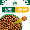 Adult Lamb & Rice 2 kg Bag, Hypoallergenic Dry Dog Food