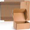 25 Pack 23 x 15 x 10cm Shipping Boxes, Small Corrugated Cardboard Box, Brown Cardboard Mailing Boxes, Thick Corrugated Mailer Boxes for Shipping Packing Small Business, Recyclable