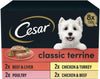 Classic Terrine in Jelly 24 Trays, Adult Premium Wet Dog Food, Mixed Selection, Pack of 3 (8 x 150 g)