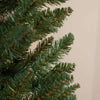 150cm (5ft) Norway Spruce Slim Tree With 236 Tips