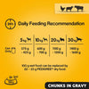 Adult - Wet Dog Food - for Adult Dogs - Can Mixed Selection in Gravy - 12 x 400 g