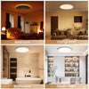 LED Ceiling Lights for Bedroom,24W 2400lm Dimmable Bathroom Lights Ceiling Lights Living Room with 1800K Night Light & 3000-6500K,Panel Smart Flush Ceiling Light for Kitchen Hallway OfficeØ29CM