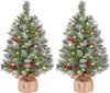 2Pcs Pre-Lit Artificial Mini Tabletop Christmas Tree, 2ft/66cm Frosted Battery Operated Small Xmas Trees with 35 LED Lights, 42 Red Berries & 6 Pinecones for Festival Decoration