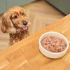 Made with Natural Ingredients Adult Wet Dog Food Tin Rest Up Recipe 6 x 400g