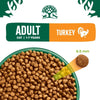 Adult Turkey 10 kg Bag, Hypoallergenic Dry Cat Food