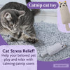 Cat Lover Gift Set - Comfort Collection: Cat Themed Relaxation Accessories inc. Cat Coffee Cup and Spoon, Slipper Socks, Candle, Bath Bomb, and Face Mask. Cat Gifts for Women, Wife, Girlfriend, Mum