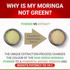 Moringa Capsules - Powerful Organic Moringa Leaf Capsules | Certified Organic by Soil Association | UK Made Ayurvedic Moringa Powder Supplement | Green Superplant Extract | 60 Easy Swallow Capsules
