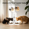 Automatic Cat Feeder, 4L Dog Feeders with Double Bowls, Support DIY Meals and Timed Control WiFi Cat Food Dispenser