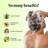 Refreshing Tea Tree Shampoo - Clarifying Shampoo for Oily Hair and Dry Scalp with Jojoba Oil and Rosemary Oil - Cleansing Sulphate Free Shampoo with Essential Oils for Build up and Flakes - 473ml