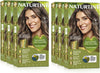 (SIX PACK)  Permanent Hair Colour 6N Dark Blonde | Ammonia Free | Vegan | 100% Grey Coverage | Long Lasting Results