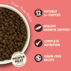 Made with Natural Ingredients Puppy Dry Dog Food Chicken, Salmon & Peas Grain-Free Recipe 2.5kg