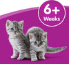 Cat Milk 15 x 200 ml bottles, Complementary Cat Food for Kittens over aged 6 weeks