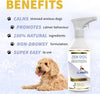 - Dog Calming Spray - Dog Calming Products - Dog Anxiety Relief - Nervous Dog Products - Valerian For Dogs - Dog Calming Anxious Dog - Reduces Stress & Anxiety - ZEN DOG - Made In UK