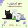 Functional Intestinal Help Wet Cat Food with Poultry