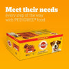 Mixed Selection in Jelly 40 Pouches, Adult Wet Dog Food, Megapack (40 x 100 g)