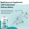 Liposomal NAD+ 500mg with Trans-Resveratrol 300mg Softgels | Actual NAD+ Supplement | 2-in-1 Anti Aging Formula for Cellular Repair, Promote Longevity & Vitality (Pack of 2)