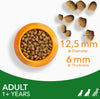 Complete Dry Dog Food for Adult 1+ Small and Medium Breeds with Lamb 3 kg