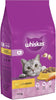 1+ Chicken Pack of 4 x 1.9 kg Bags, Adult Cat Dry Food