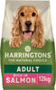 Complete Dry Adult Dog Food Salmon & Potato 12 kg - Made with All Natural Ingredients