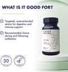 - Pro Gut - High Strength Probiotic - Multi-Strain Probiotic for Digestive System - Everyday Live Bacteria - 5 Billion CFUs - Vegan - 30 Capsules