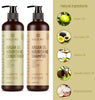 Argan Oil Shampoo and Conditioner Set (2 x 16.9 Oz) Sulfate Free, Natural Oil Infused - Soft & Smooth, Gentle on Curly & Color Treated Hair