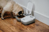 C200 2 Meal Automatic Pet Feeder with Timer and Ice Pack For Cats And Small Dogs, For use with Wet and Dry Food - White