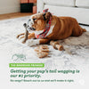 Durable Dog Chew Toy Box for Aggressive Chewers with Wishbone, Fishbone, Stick & Zaggler, Medium