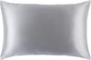 Queen Silk Pillow Cases - 100% Pure 22 Momme Mulberry Silk Pillowcase for Hair and Skin - Queen Size Standard Pillow Case - Anti-Aging, Anti-BedHead, Anti-Sleep Crease, Silver (20" x 30")