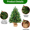 Small Christmas Tree with Lights, 60cm/2ft Christmas Tree with 40 LED Lights Artificial Table Top Christmas Tree Miniature Pine Xmas Tree for Home Office Desk Indoor Christmas Decorations