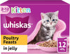 Junior Poultry Selection in Jelly 48 x 85 g Pouches, Kitten Cat Food, Pack of 4 (12 x 85 g)