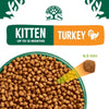 Junior Turkey 1.5 kg Bag, Hypoallergenic Kitten Dry Cat Food