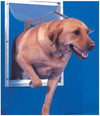 Ideal_Pet_Products Deluxe Aluminum Pet Door with Telescoping Frame, Extra Large, 10.5" x 15" Flap Size, White