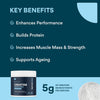 Creatine Monohydrate Powder | Micronised | Pre & Post Workout | Unflavoured | 300g | 60 Servings