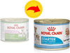 ROYAL CANIN Starter Mousse, Mother & Babydog Dog Food Cans 6 X 195g and Little Gift