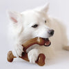 Durable Dog Chew Toy Box for Aggressive Chewers with Wishbone, Fishbone, Stick & Zaggler, Medium