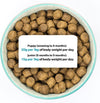 Pet Nutrition Hypoallergenic Complete Dry Dog Food Puppy Original Chicken and Rice 2 kg