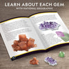 NATIONAL GEOGRAPHIC Dig Kit – Dig Up Real Gems and Birthstones, STEM Science & Educational Toys make Great Kids Activities