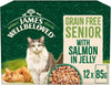 Grain Free Adult Cat Food with Salmon in Jelly Pouch 12 x 85g