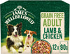 Grain Free Adult Dog Food with Lamb and Chicken in Gravy Pouch 12 x 90 g