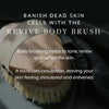 Revive Body Brush - Exfoliating Body Brush with Vegan Agave Sisal Bristles for Dry Skin and Stimulating Circulation