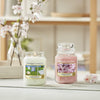 Scented Candle | Cherry Blossom Large Jar Candle | Long Burning Candles: up to 150 Hours | Gifts for Women